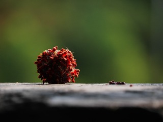 508125