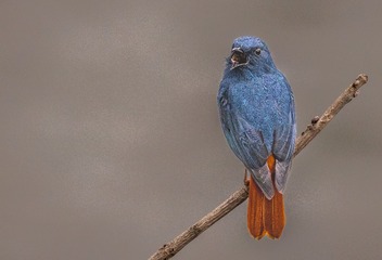 165921
