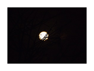 F0BFA0E7-71FE-4490-9D66-F623383A8427/L0/001
