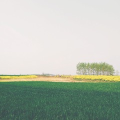 48764