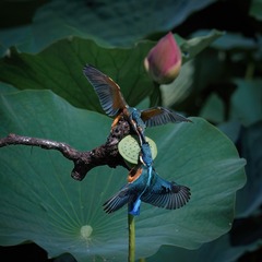8A17AB7D-04E5-4A60-9CC2-88DAB70D0232/L0/001