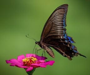 BEC59D3F-AE59-4676-99EE-1AADD6A46582/L0/001