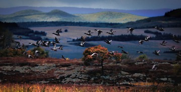 DC076867-0228-47BA-BF3A-97201219A5A2/L0/001