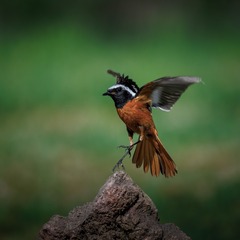 BC6764C7-FBDF-4973-9C10-072F45D3AB8A/L0/001
