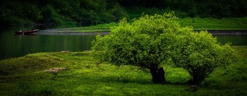 2C45F31C-C0BC-4ACC-86AF-A7016F71EB8A/L0/001