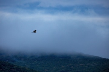 183653F4-2F2E-4B6C-91B8-23053A890492/L0/001