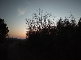 106029