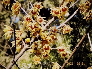 476C0BC5-07C4-46DB-B229-D01FD6FD4905/L0/001