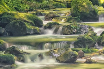 _HGS2781