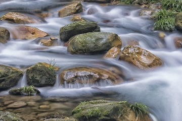 _HGS2757