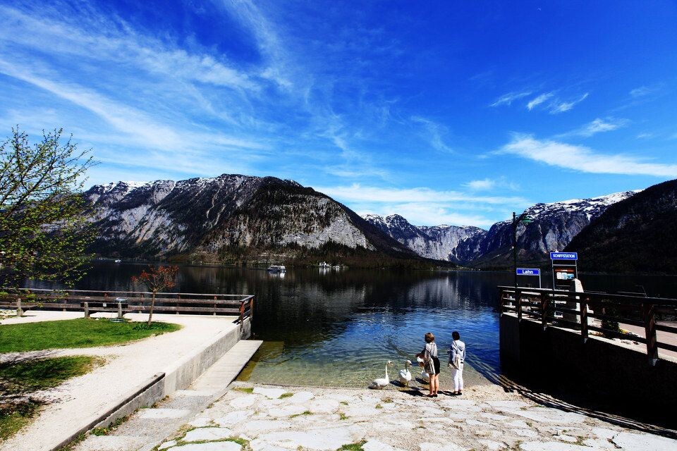 Hallstatt 一个产盐的奥地利小镇<br />
喂鹅的游客