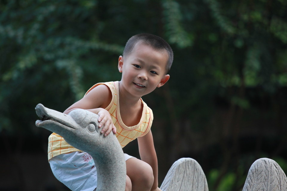 毛头4岁5个月(6月4日-6月12日)