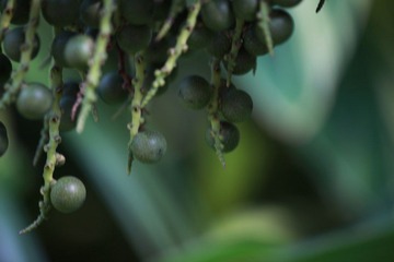IMG_3279.JPG