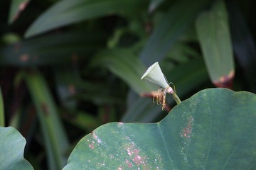 IMG_8159.JPG