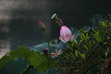 IMG_8157.JPG
