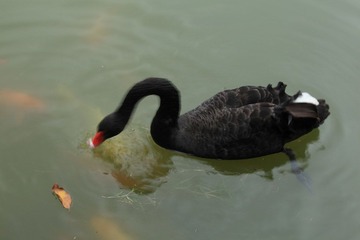 IMG_2221.JPG