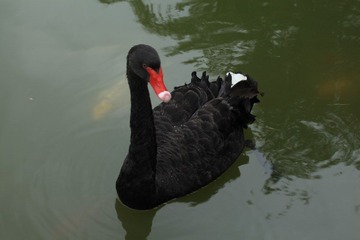 IMG_2222.JPG