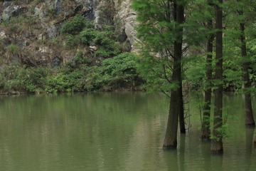 IMG_2200.JPG