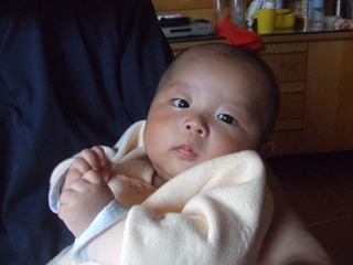 2008_03_29_11.09.18.jpg