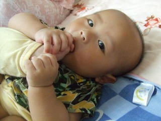 2008_06_01_15.17.11.jpg