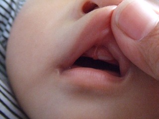 2008_07_29_11.00.49.jpg