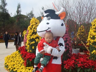 2009_01_31_10.52.46.jpg