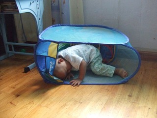 2009_07_26_16.20.26.jpg