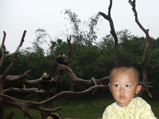 2010_04_04_14.45.53.jpg