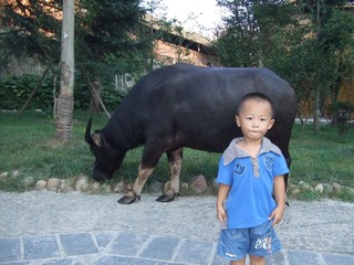 2010_08_11_18.07.48.jpg