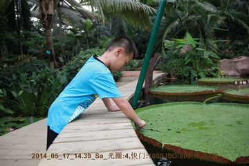 2014_05_17_14.39.11