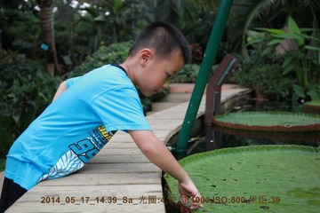 2014_05_17_14.39.18