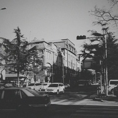 IMGP4930a.jpg