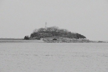 IMGP5353.jpg