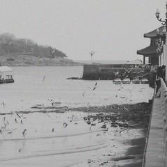 IMGP5318.jpg