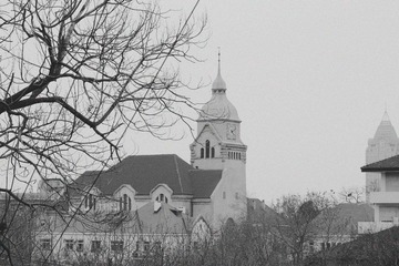 IMGP5408.jpg