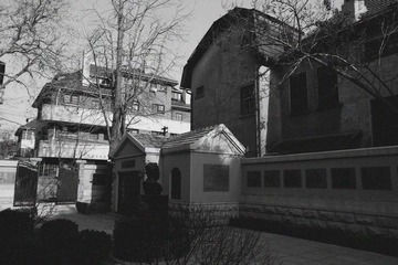 IMGP5541.jpg