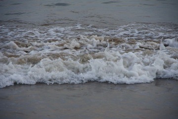 IMGP7016.jpg