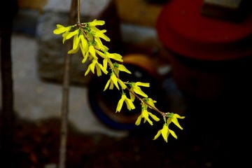 IMGP6347.JPG