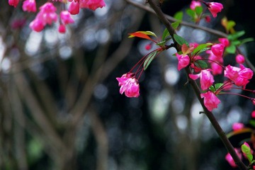 IMGP6907.JPG