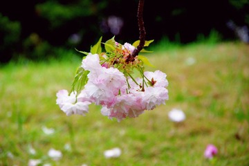 IMGP6940.JPG