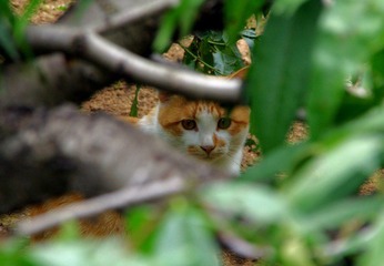IMGP2132.jpg