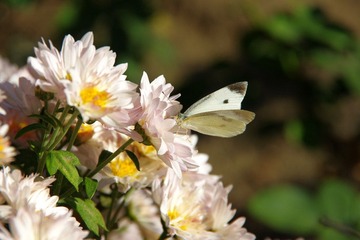 IMGP2877.JPG