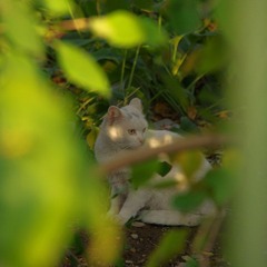 IMGP3243.JPG