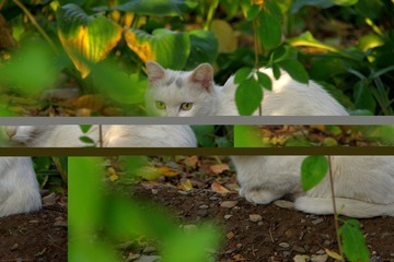 IMGP3247.JPG