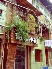 P1200626_nEO_IMG