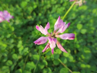 33249704-9B5C-4F00-AFAE-EB612728FFC1/L0/001