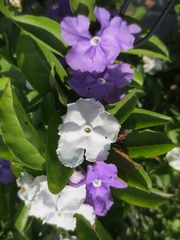 B3D72E5E-C755-461E-8199-F2F100B34B53/L0/001