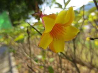 5D0247DC-42C7-4EA9-AE04-81E30AA00C53/L0/001