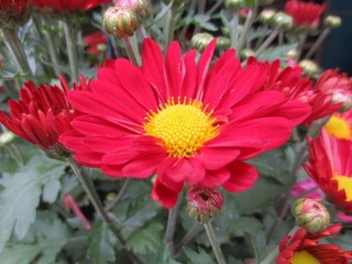 5D5D3FF5-3568-405E-A1C0-27BDDF2D8D30/L0/001