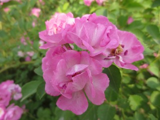 91ED977B-38D3-49B3-9755-8AA7F02BE144/L0/001